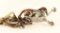 Lot of 2 Spurs