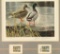 Duck Stamp Print