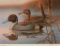 Duck Stamp Print
