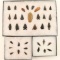 Collection of Columbia River Points