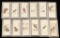 Chinese Zodiac Bars (12)