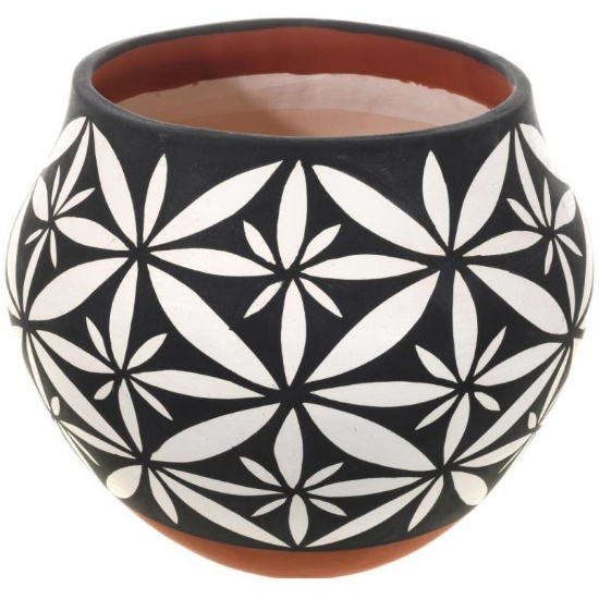 Acoma Pueblo Pottery Flower Patterns