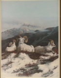 Limited Edition Fine Art Print