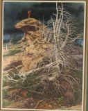 Fine Art Print