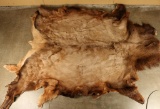 Large Elk Hide