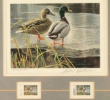 Duck Stamp Print