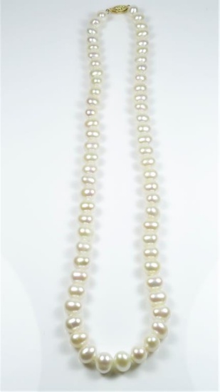 Nice Strand of Pearls 18” in length