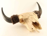 Buffalo Skull and Horns
