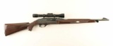 Remington Nylon 66 22LR NVSN