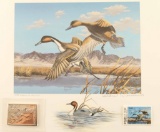 Utah II 1987/88 Duck Stamp Print