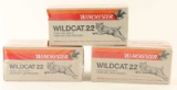 Winchester Wildcat 22LR Ammunition