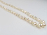 Lovely Strand of Ivory Pearls