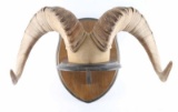 Dahl Ram Horn Shelf