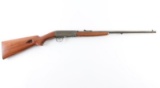 Remington 24 .22 LR 100264