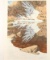 Fine Art Print by Bev Doolittle
