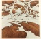 Fine Art Print by Bev Doolittle