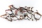 Lot of Spurs