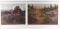 Lot of 2 Fine Art Prints