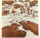 Fine Art Print by Bev Doolittle