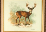 Original Oil on Canvas