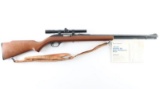 Marlin 60 .22 LR SN:17399191