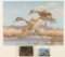 Utah II Migratory Waterfowl Gold Print
