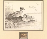 Federal Duck Stamp Print