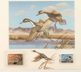 Utah II Migratory Waterfowl Executive Print