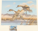 Utah II Migratory Waterfowl Print #1