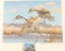 Utah II Migratory Waterfowl Print #3