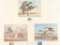 Utah Migratory Waterfowl Prints - 3 Years