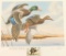 Utah III Migratory Waterfowl Gold Edition
