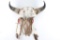 Decorative Painted Buffalo Skull