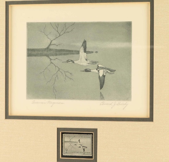 Duck Stamp Print "American Mergansers"