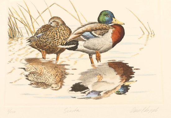 Dave Chapple Publisher's Print #2 "Siesta"