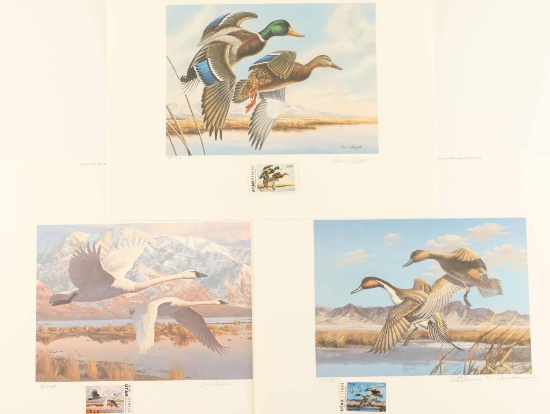 Utah Migratory Waterfowl Prints - 3 Years