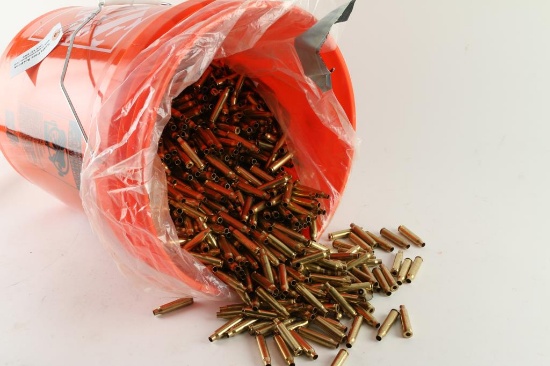 5.56mm Brass Cases