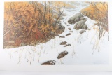 Fine Art Print