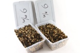 Lot of 9mm Brass Cases