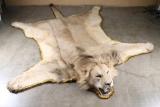 Beautiful Large Lion Rug