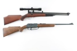 Collection of 2 Air Rifles