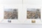 Lot Of Two Collector Stamp Duck Prints