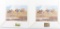 Lot Of Two Collector Duck Stamp Prints