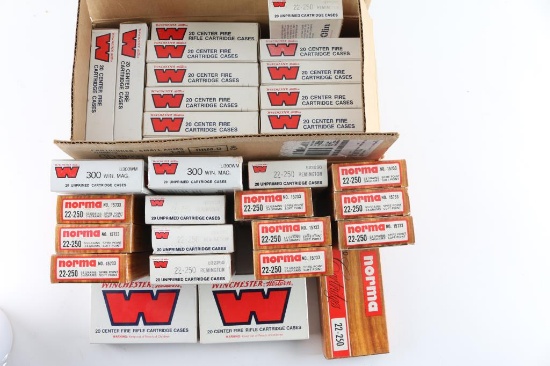 Lot of Brass Cases