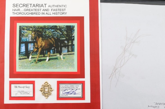 Secretariat Greatest And Fastest Horse's Mane