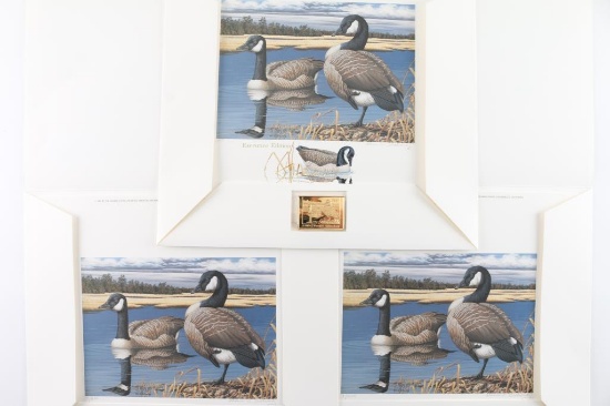 Lot Of Three Habitat Waterfowl Stamp Duck Prints