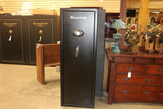 Sentry Gun Safe