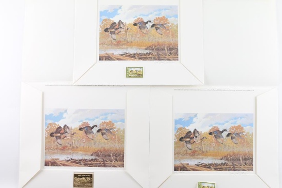 Lot Of Three Conservation Duck Stamp Prints
