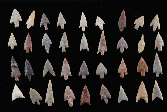 Lot Of Neolithic Arrow Head Points
