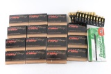 .223 REM Ammunition